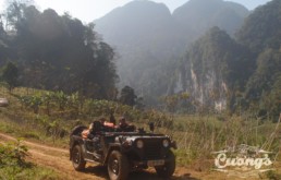 US Army Vietnam Jeep Tour