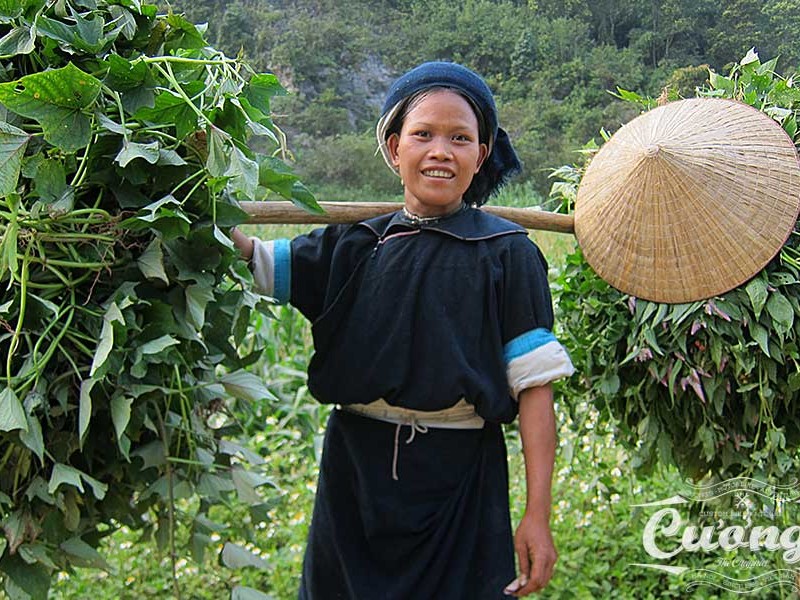 ha giang motorbike tours
