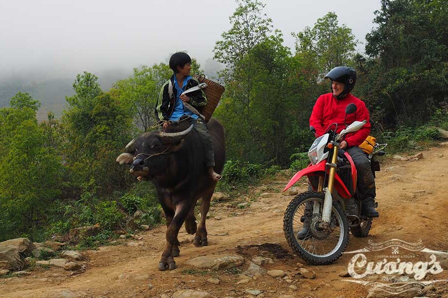 Sapa Loop motorbike tour