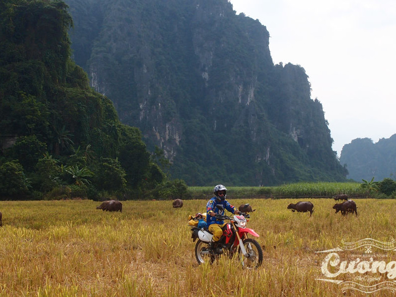 Mai Chau - Pu Luong motorbike tour