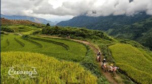 Top 5 Off-road routes Vietnam Cuongs Vietnam Motorbike Tours Off_road single track