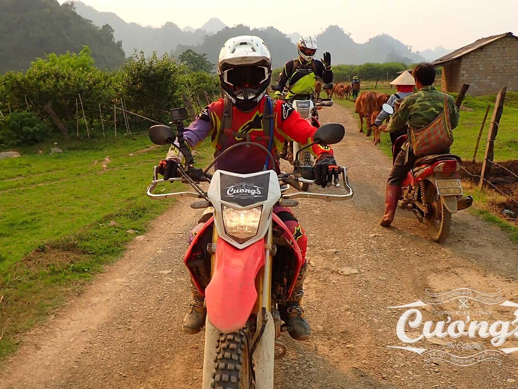 Vietnam Motorbike tours