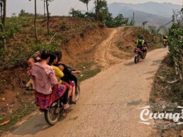 Vietnam Motorbike tours