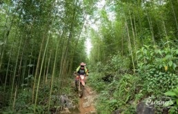 Vietnam offroad loop Motorbike Tour