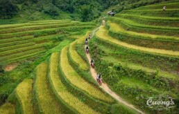 Vietnam offroad loop Motorbike Tour