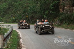 Group of people in open-top vintage military jeeps driving along a winding mountain road surrounded by trees