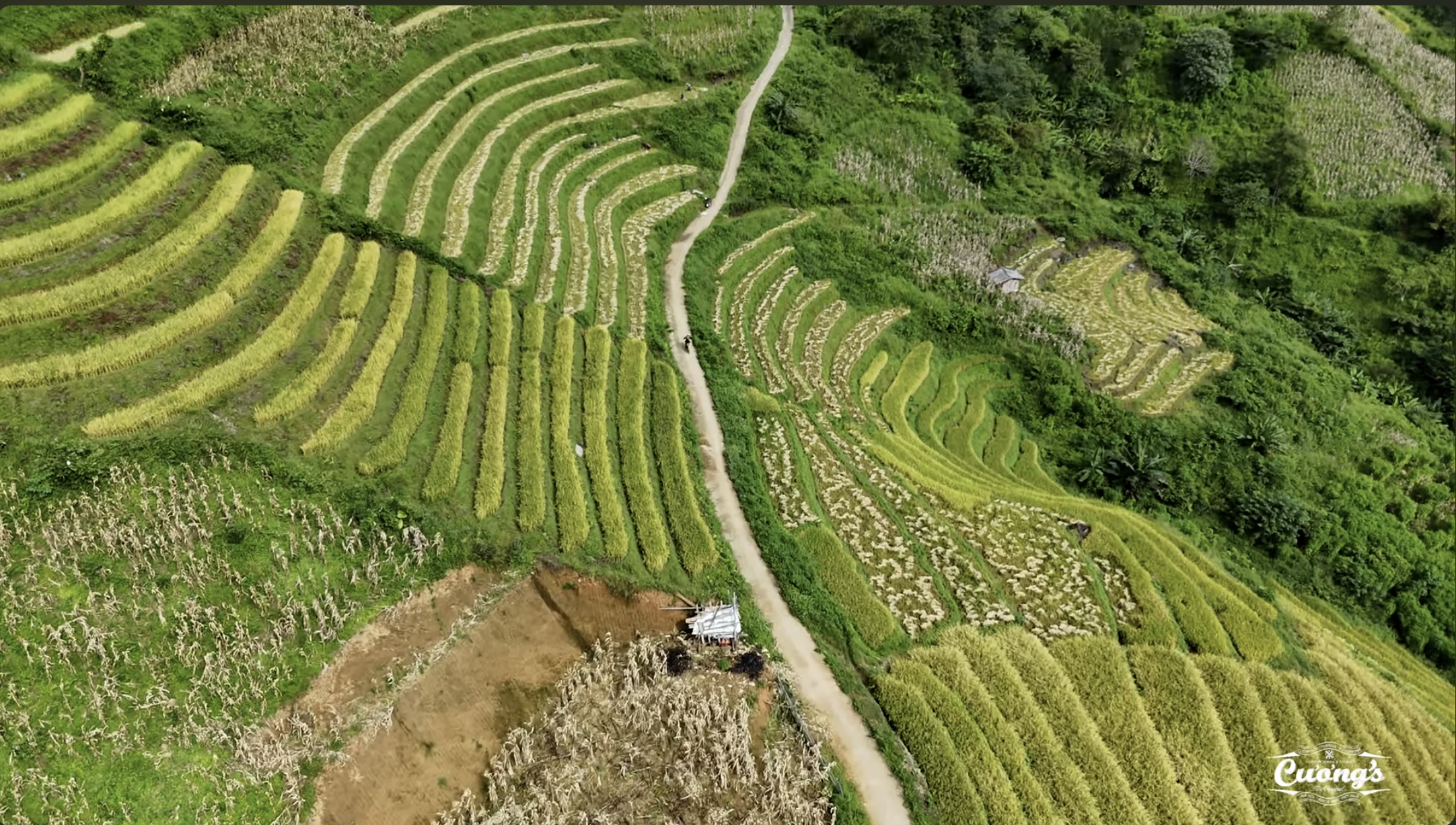 vietnam off road motorbike tours