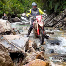 Rider in a helmet and yellow jacket rides a red dirt bike across a rocky stream in a forest.