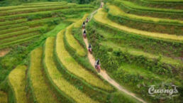 Vietnam-Off-road-loop-enduro-tour